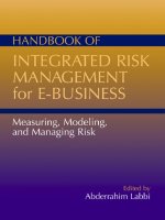 Handbook of integrated risk management for e business 