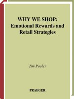 Why we shop enmotional rewards and retail strategies 