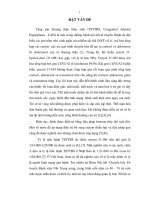 Phát hiện người lành mang gen đột biến CYP21A2 và chẩn đoán trước sinh bệnh tăng sản thượng thận bẩm sinh thể thiếu 21-hydroxylase