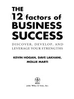 The 12 factors of business success