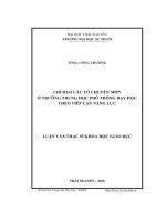 Chỉ đạo các tổ chuyên môn ở trường trung học phổ thông dạy học theo tiếp cận năng lực (LV thạc sĩ))