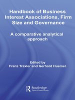 Handbook of business interest associations firm size and governance 