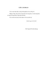 Nghiên cứu đặc điểm lâm sàng, xét nghiệm và đánh giá kết quả điều trị bệnh bạch cầu cấp dòng lympho nhóm nguy cơ cao ở trẻ em theo phác đồ CCG 1961