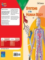 5 4 systems of the human body (life sciences)
