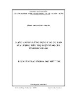 Mạng Anfis và ứng dụng cho dự báo sản lượng tiêu thụ điện năng của tỉnh Bắc Giang (LV thạc sĩ))