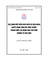 Xác định đột biến gen EGFR và gen KRAS quyết định tính đáp ứng thuốc trong điều trị bệnh ung thư phổi không tế bào nhỏ