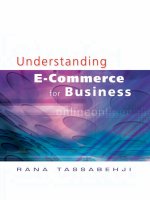 Understanding ecomerce for business 