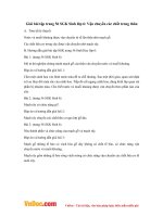 Giải bài tập trang 56 SGK Sinh lớp 6: Vận chuyển các chất trong thân