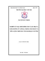 Nghiên cứu đặc điểm hình ảnh và giá trị của cộng hưởng từ 1,5 Tesla trong chẩn đoán và tiên lượng nhồi máu não giai đoạn cấp tính