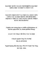 Vai trò của nhân viên công tác xã hội trong mô hình điều trị thay thế các chất dạng thuốc phiện bằng methadone (Nghiên cứu trường hợp cơ sở điều trị Methadone