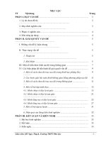 Phương pháp tọa độ hóa giải một số bài toán hình học không gian 