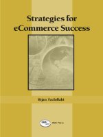 Strategies for ecomerce success 