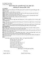 DE CUONG ON TAP NGU VAN 10 HKI