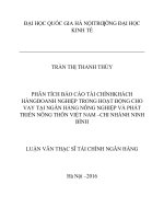 Phân tích báo cáo tài chính khách hàng doanh nghiệp trong hoạt động cho vay tại NHNo& PTNT Việt Nam- Chi nhánh Ninh Bình.