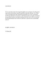 Trách nhiệm hình sự của người phạm tội trong tình trạng say do dùng rượu hoặc chất kích thích mạnh khác theo pháp luật hình sự Việt Nam