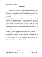 Báo cáo thực tập tốt nghiệp tại Công ty TNHH Dịch vụ ERP FPT (FIS ERP)