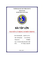 Bài tập lớn Nguyên lý động cơ đốt trong