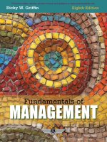 Fundamentals of management 8e by griffin