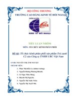 Tiểu Luận Tổ Chức Kênh Phân Phối Sản Phẩm Trà Xanh C2 Của Công Ty TNHH URC Việt Nam