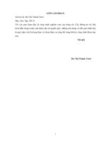 Nghiên cứu ứng dụng hình thức tràn mỏ vịt cho hồ chứa nước loại vừa và nhỏ, áp dụng cho hồ đăk trít, kon tum 