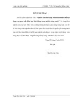 Nghiên cứu sử dụng montmorillonit chế tạo dụng cụ quan trắc kim loại linh động trong môi trường nước 