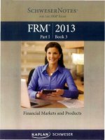 FRM schweser part 1 book 3 2013 