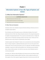 Business information systems 
