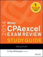 2014 WILEY CPA excel study guide regulation 
