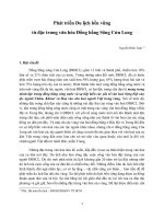 Phát Triển Du Lịch Bền Vững Từ Đặc Trưng Văn Hóa Đồng Bằng Sông Cửu Long