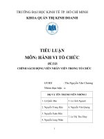 Tiểu Luận Chính Sách Động Viên Nhân Viên Trong Tổ Chức
