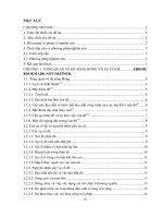 Nghiên cứu xác định nguyên nhân và đề xuất biện pháp xử lý sự cố sạt trượt mái đê, kè tuyến đê hữu hồng  tỉnh nam định 