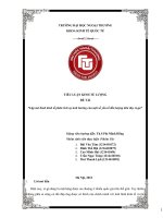 Lập mô hình kinh tế phân tích sự ảnh hưởng của một số yếu tố đến lượng tiêu thụ xì-gà