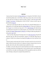 ngiên cứu cải biến công nghệ dây truyền sản xuất etyl axetat