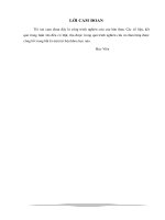 Nghiên cứu xử lý dung dịch rửa linh kiện điện tử nhằm thu hồi IZO PROPANOL sử dụng trong công nghiệp 