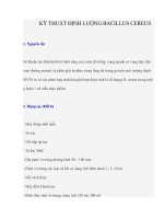KỸ THUẬT ĐỊNH LƯỢNG BACILLUS CEREUS