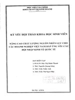 Nâng cao chất lượng nguồn nhân lực cho các doanh nghiệp việt nam đáp ứng yêu cầu hội nhập kinh tế quốc tế 