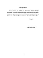 Dạy học phương trình chứa căn thức theo hướng phát triển năng lực giải toán cho học sinh trung học phổ thông 