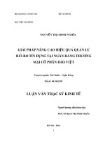 GIẢI PHÁP NÂNG CAO HIỆU QUẢ QUẢN LÝ RỦI RO TÍN DỤNG TẠI NGÂN HÀNG THƯƠNG MẠI cổ PHẨN BẢO VIỆT 