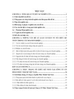 Hoàn thiện tổ chức kế toán tại công ty cổ phần phúc thành việt nam 