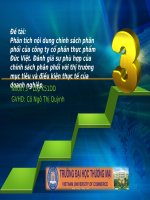 Chính sách phân phối của công ty cổ phần Đức Việt