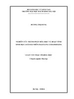 nghiên cứu thành phần hóa học và hoạt tính sinh học loài hải miên haliclona subarmigera