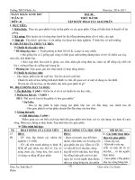 giáo án sinh học 9 tiết 41 đến tiết 50 (WORD)