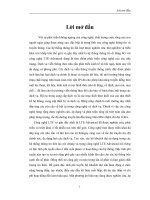 Nghiên cứu công nghệ LTE a và kỹ thuật tiền méo dạng ứng dụng trong hệ thống thông tin di động băng rộng 