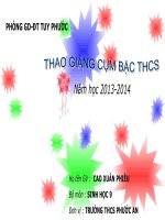 giáo án powerpoint môn sinh 9  tiết 52 HỆ SINH THÁI