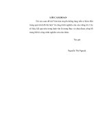 Văn hóa truyền thống làng tiến sĩ kim đôi trong quá trình đô thị hóa 