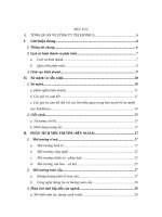 BÀI TẬP NHÓM QUẢN TRỊ CHIẾN LƯỢC THẤY NGUYỄN XUÂN LÃN  CÔNG TY TELEFÓNICA