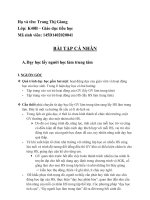 phương pháp dạy học lấy người học làm trung tâm, kĩ thuật dạy học tích cực, ví dụ minh họa