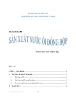 Sản xuất nước ổi đóng hộp 