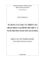 Sử dụng các vật liệu tự nhiên vào hoạt động tạo hình cho trẻ 5  6 tuổi trường mầm non Xuân Hòa (LV tốt nghiệp)