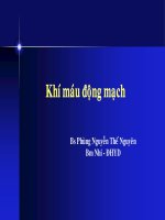 Khí máu động mạch cơ thể người